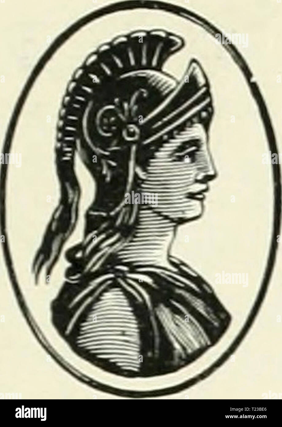 Archive image from page 66 of Discovery Stock Photo