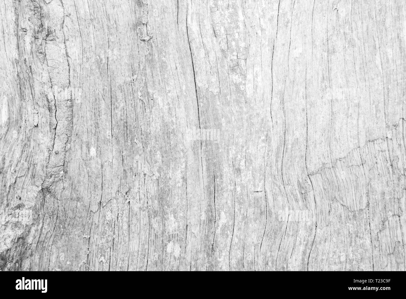 Table top view of wood texture in white light natural color background. Grey  clean grain wooden floor birch panel backdrop with plain board pale detai  Stock Photo - Alamy