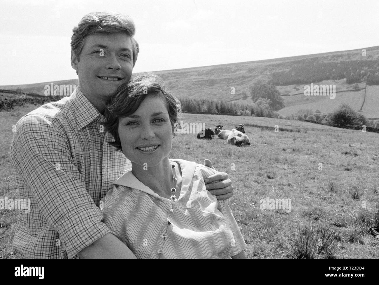 All creatures great and small film