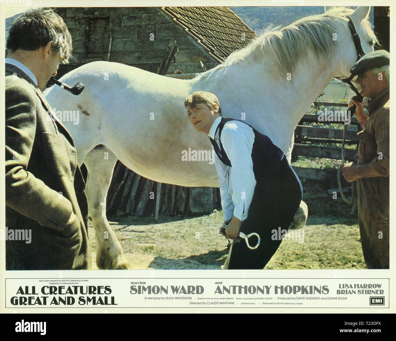 All Creatures Great and Small (1975)