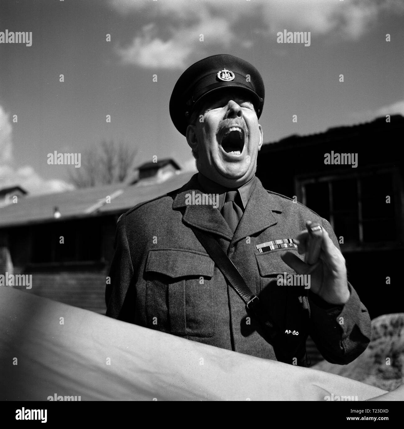 The Amorous Prawn (1962) Date: 1962 Stock Photo - Alamy