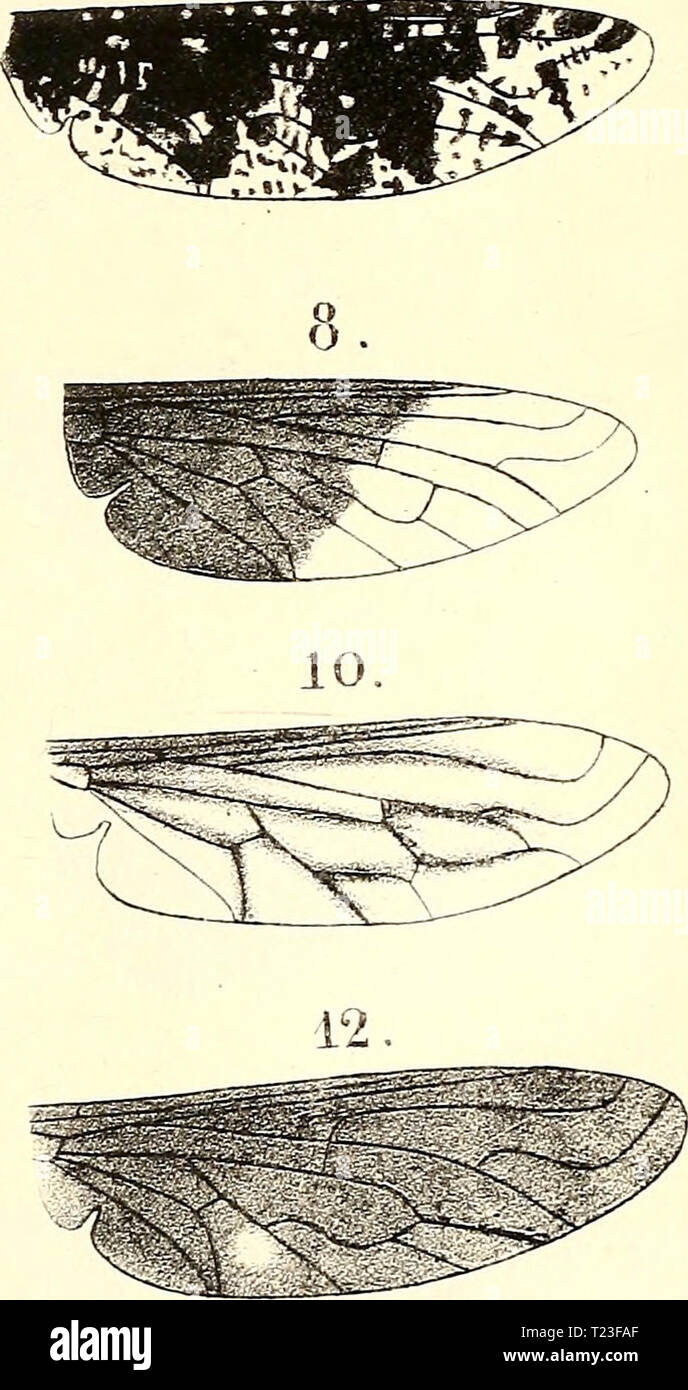 Ic 11 Hi Res Stock Photography And Images Page 3 Alamy Ic 11 Hi Res Stock Photography And Images Page 3 Alamy