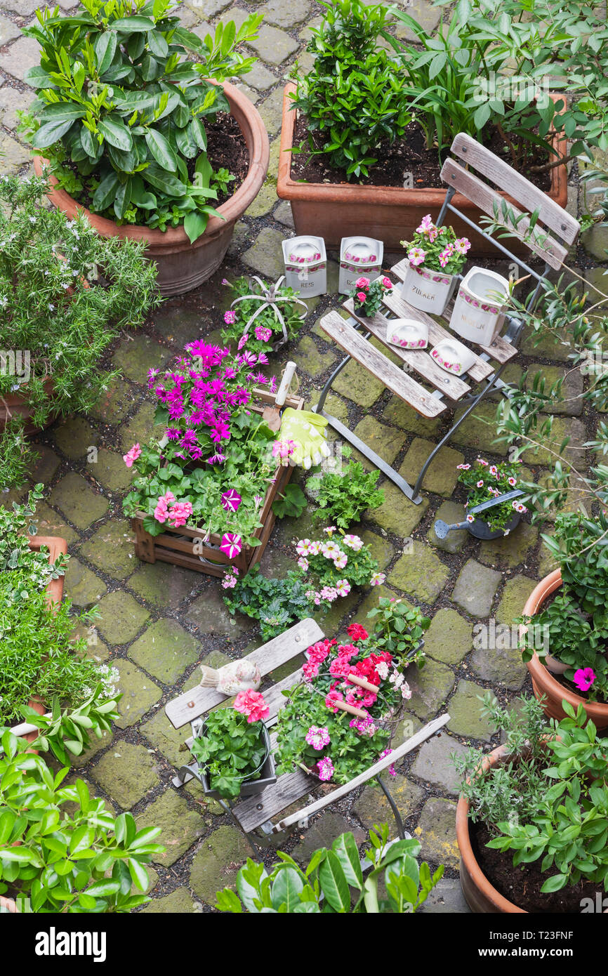 Garden birds eye view hires stock photography and images Alamy