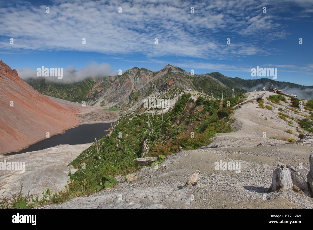View of the caldera and scenery of Chaitén volcano, Pumalin National Park, Patagonia, Chaitén, Chile Stock Photo