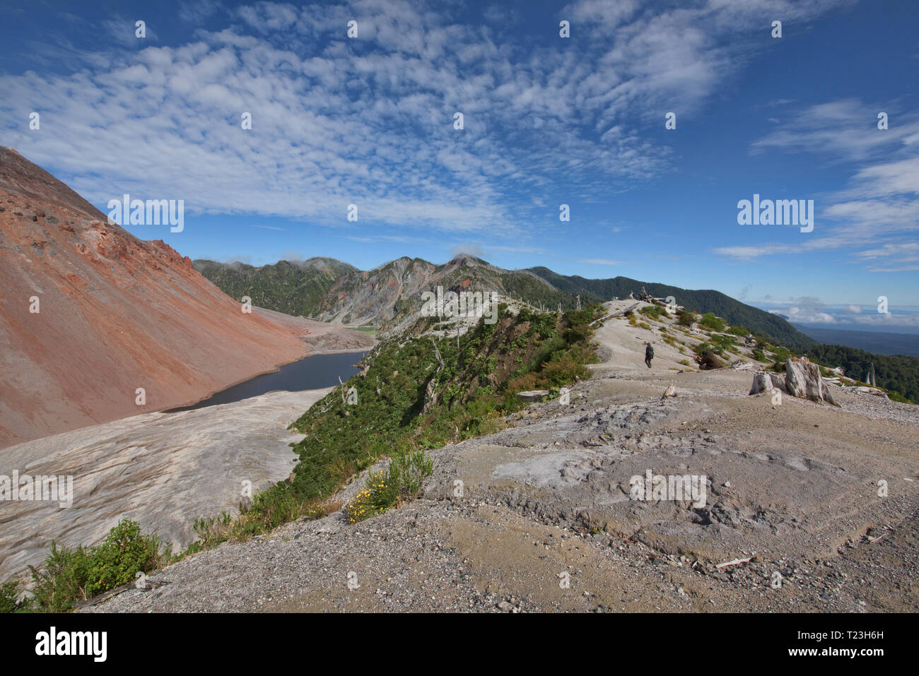 Edge of the caldera and scenery of Chaitén volcano, Pumalin National Park, Patagonia, Chaitén, Chile Stock Photo
