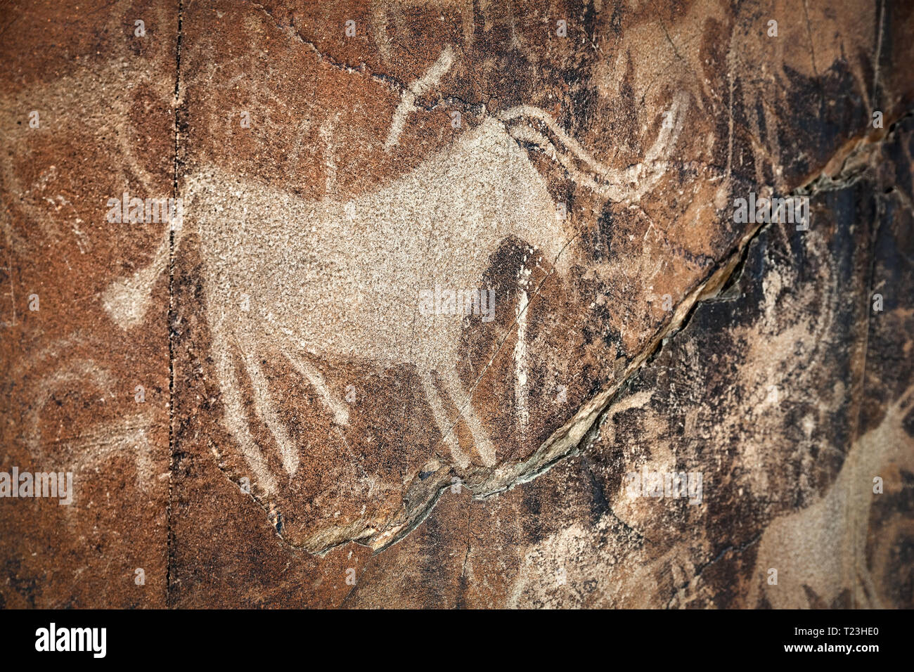 Ancient petroglyph of goats and on the stone in open air museum Tanbaly