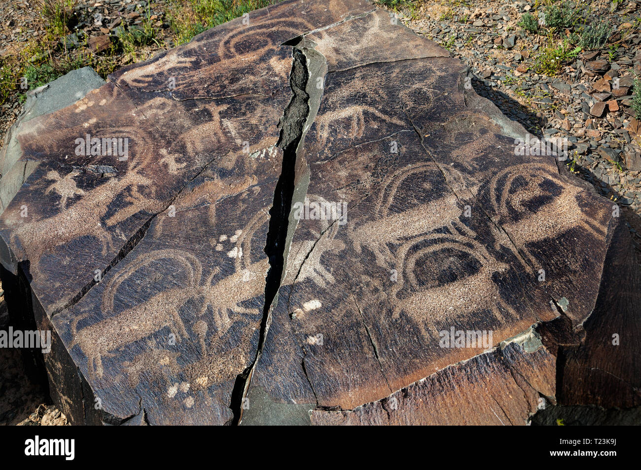 Ancient petroglyph of goats and on the stone in open air museum Tanbaly