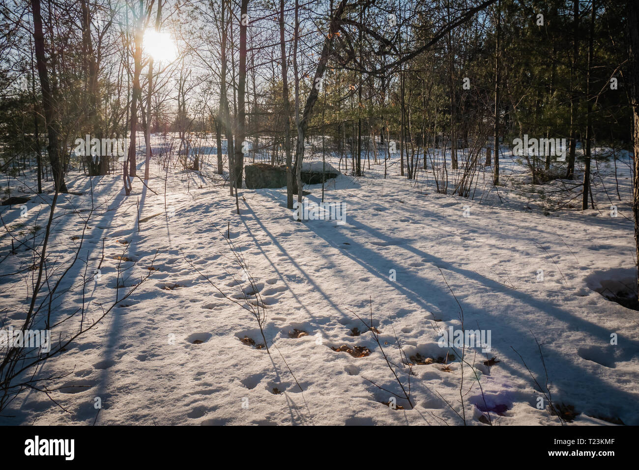 Frosty hiking trail hi-res stock photography and images - Alamy