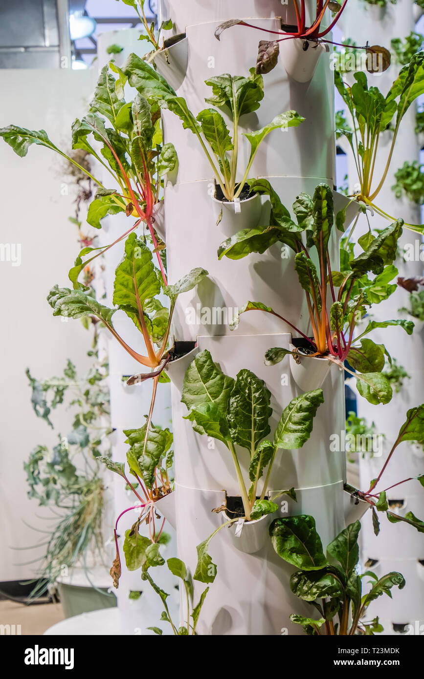 rotunda tower garden inside chicago ohare airport is a aeroponic urban