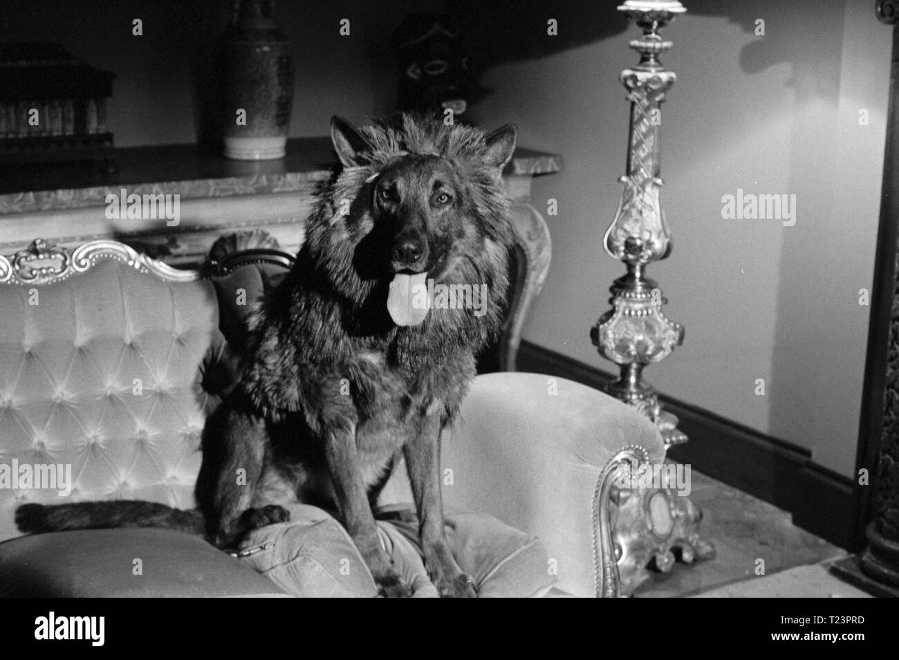 the-beast-must-die-1974-date-1974-T23PRD