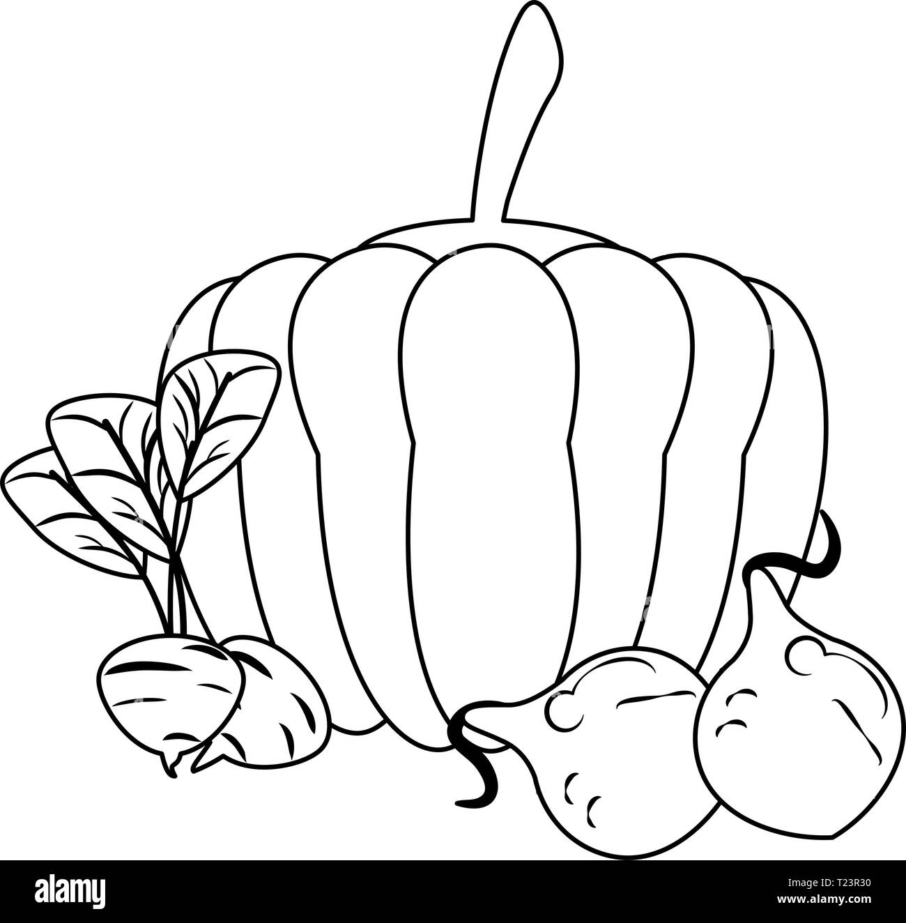 Pumpkin and radish with onions in black and white Stock Vector