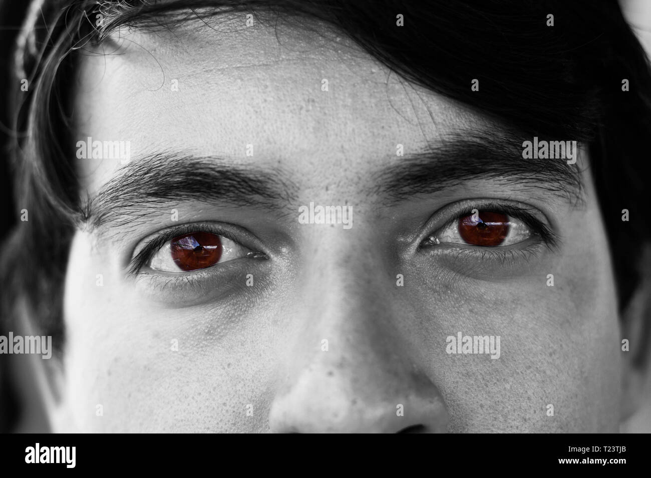 The brown eyes Stock Photo - Alamy