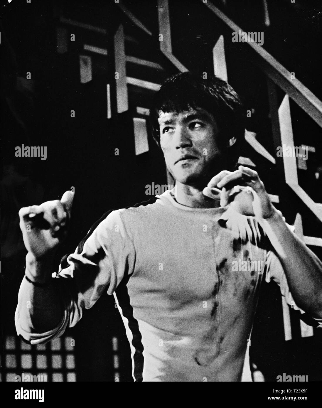 the image of bruce lee 1978