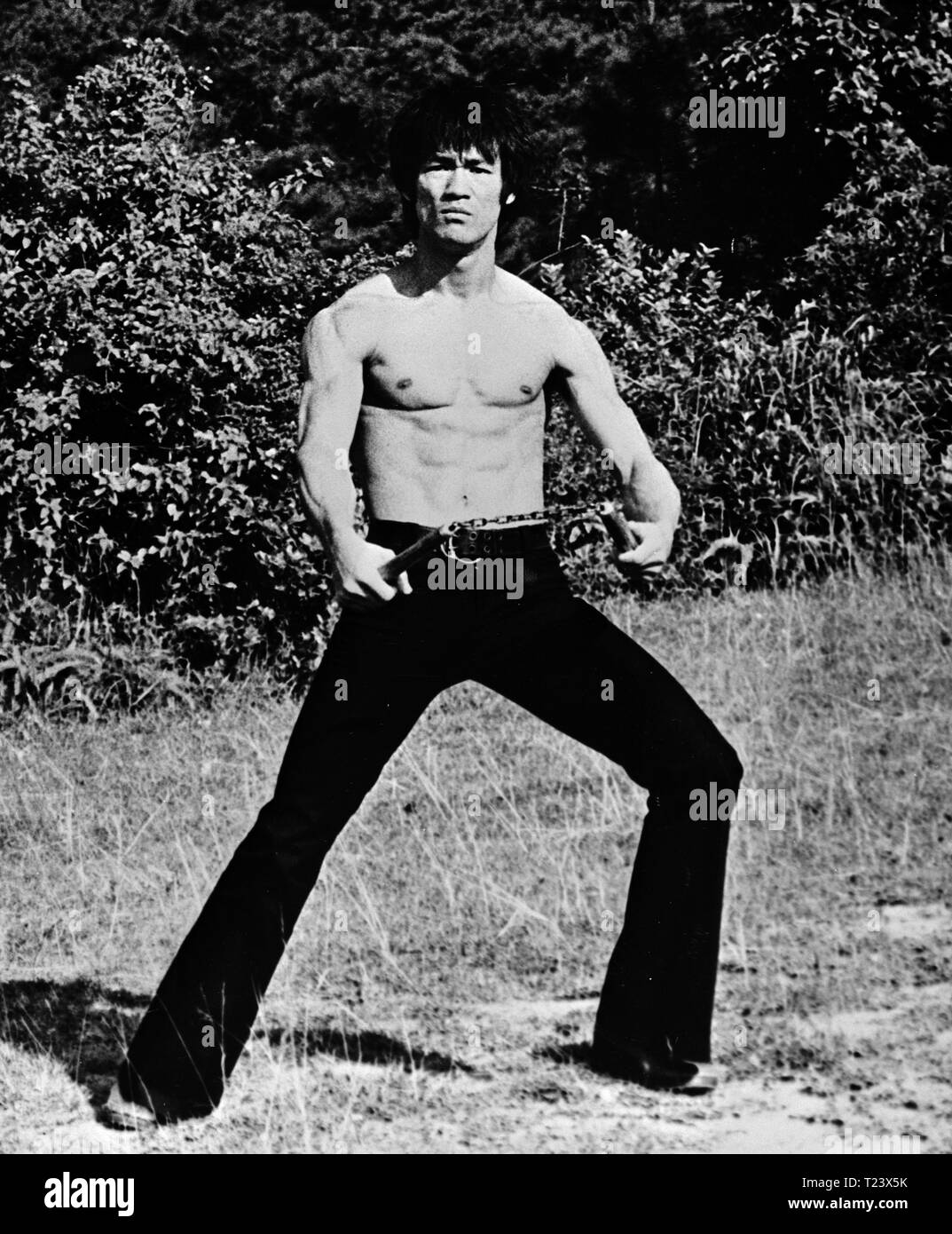 Game Of Death 1978 Bruce Lee Date 1978 Stock Photo Alamy