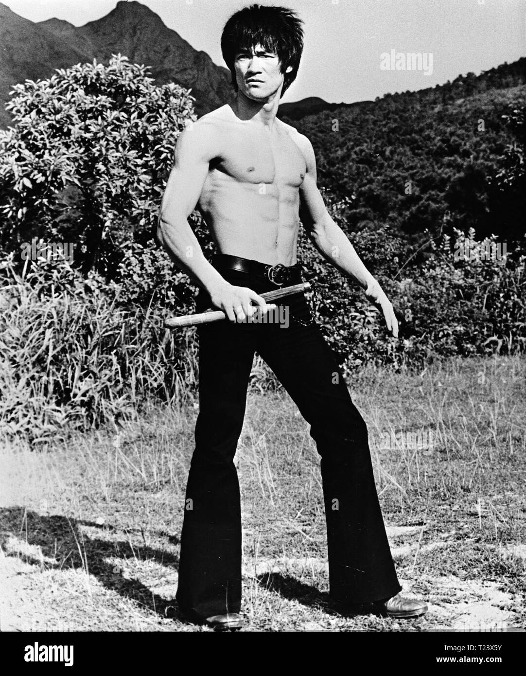 Game Of Death 1978 Bruce Lee Date 1978 Stock Photo Alamy