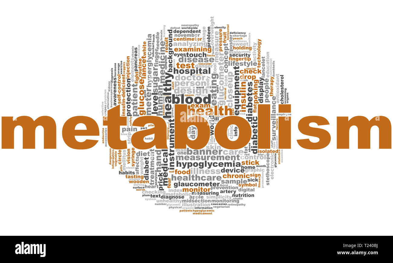 metabolism word cloud creative illustration of idea word idea word