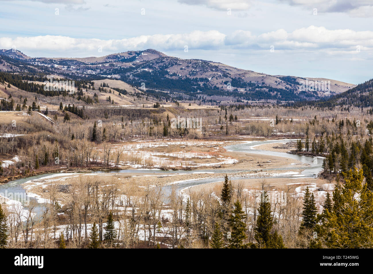 The Castle River in southern Alberta, Canada Stock Photo Alamy