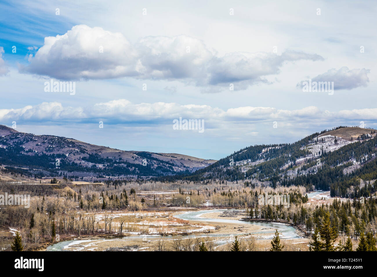 The Castle River in southern Alberta, Canada Stock Photo Alamy
