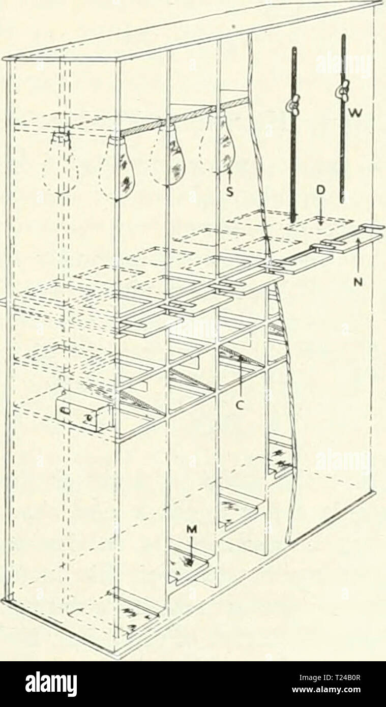 Archive image from page 482 of Discovery Stock Photo