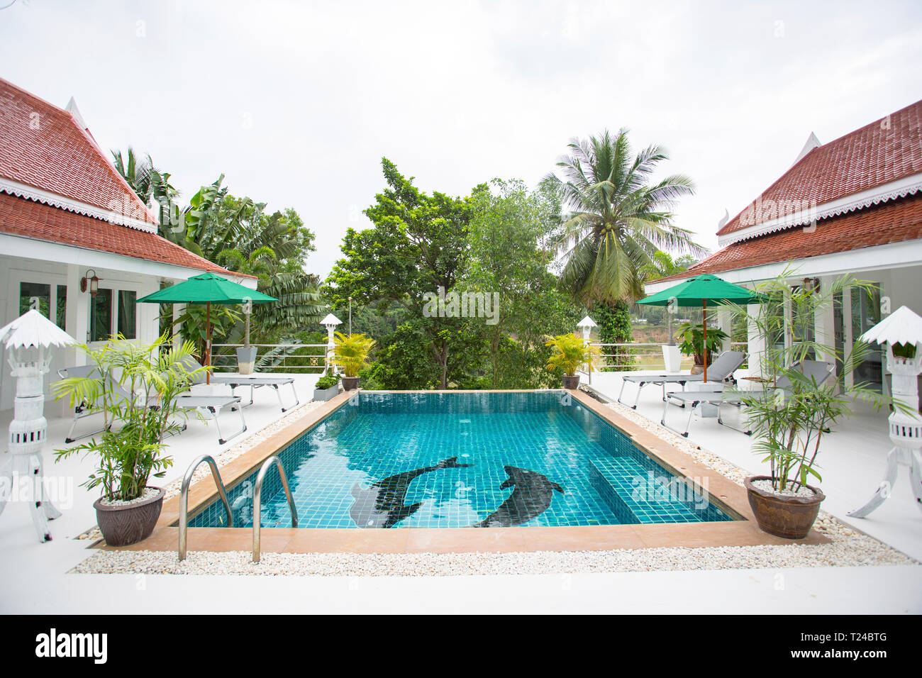 Thailand, swimming pool of holiday resort Stock Photo