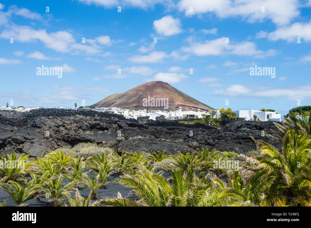 Spain, Canary Islands, Lanzarote, La Geria, view to wine-growing district with volcanic cone in the background Stock Photo