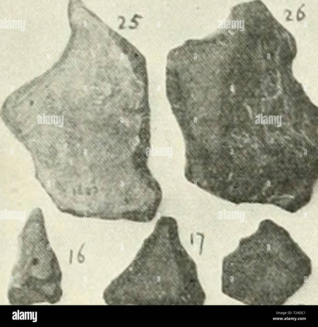 Oligocene Rocks Oligocene epoch hi-res stock photography and images - Alamy