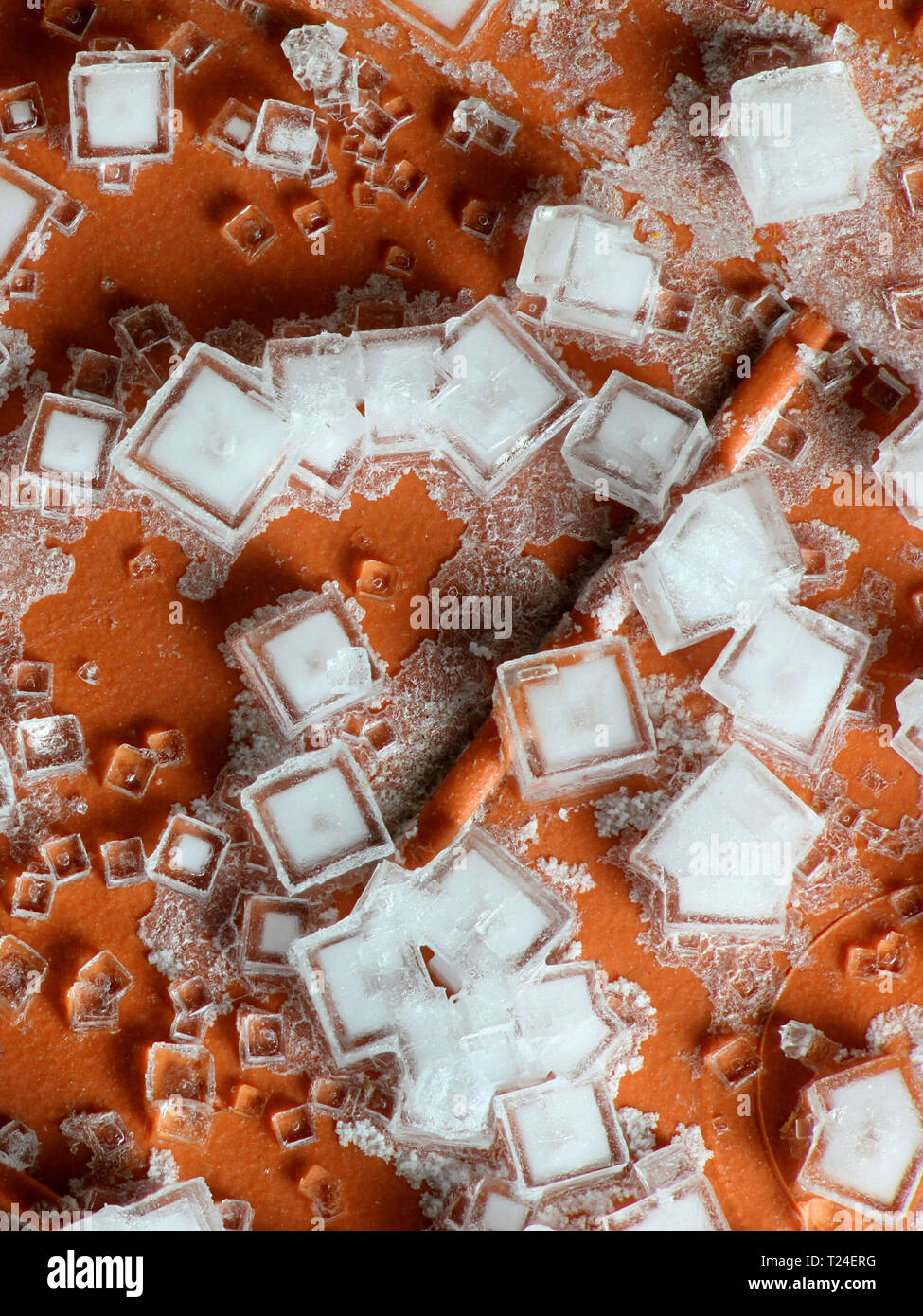 Crystal salt crystals microscope hires stock photography and images