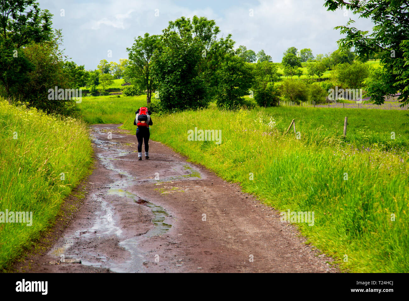 Pilgrim walking through the countryside outside of Le Puy en Velay in France. The town is a starting point for many who walk the Santiago de Compostel Stock Photo