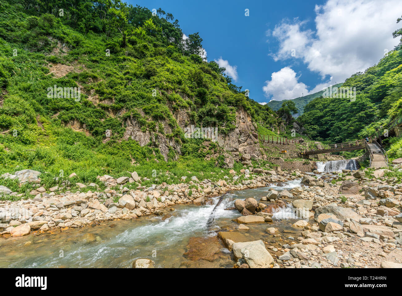 Yokoyu River (Yokoyugawa) in Jigokudani valey. Nagano Prefecture, Japan Stock Photo