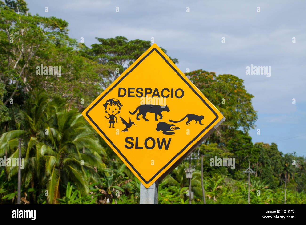 Animal Crossing traffic sign on a road in Costa Rica Stock Photo