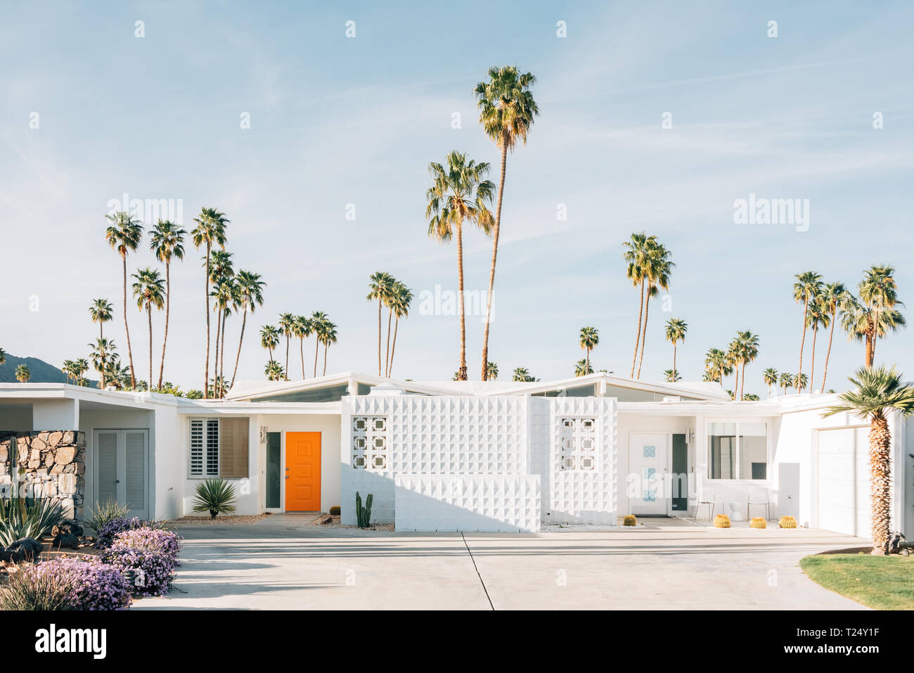 Palm trees and modern house in Palm Springs, California Stock Photo