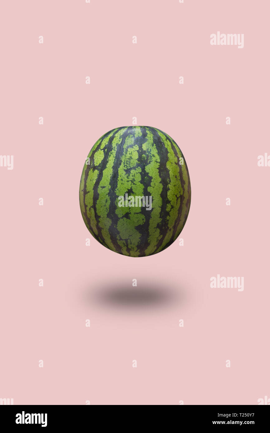 Watermelon isolated on a blue pastel background with a shadow. vertical ...