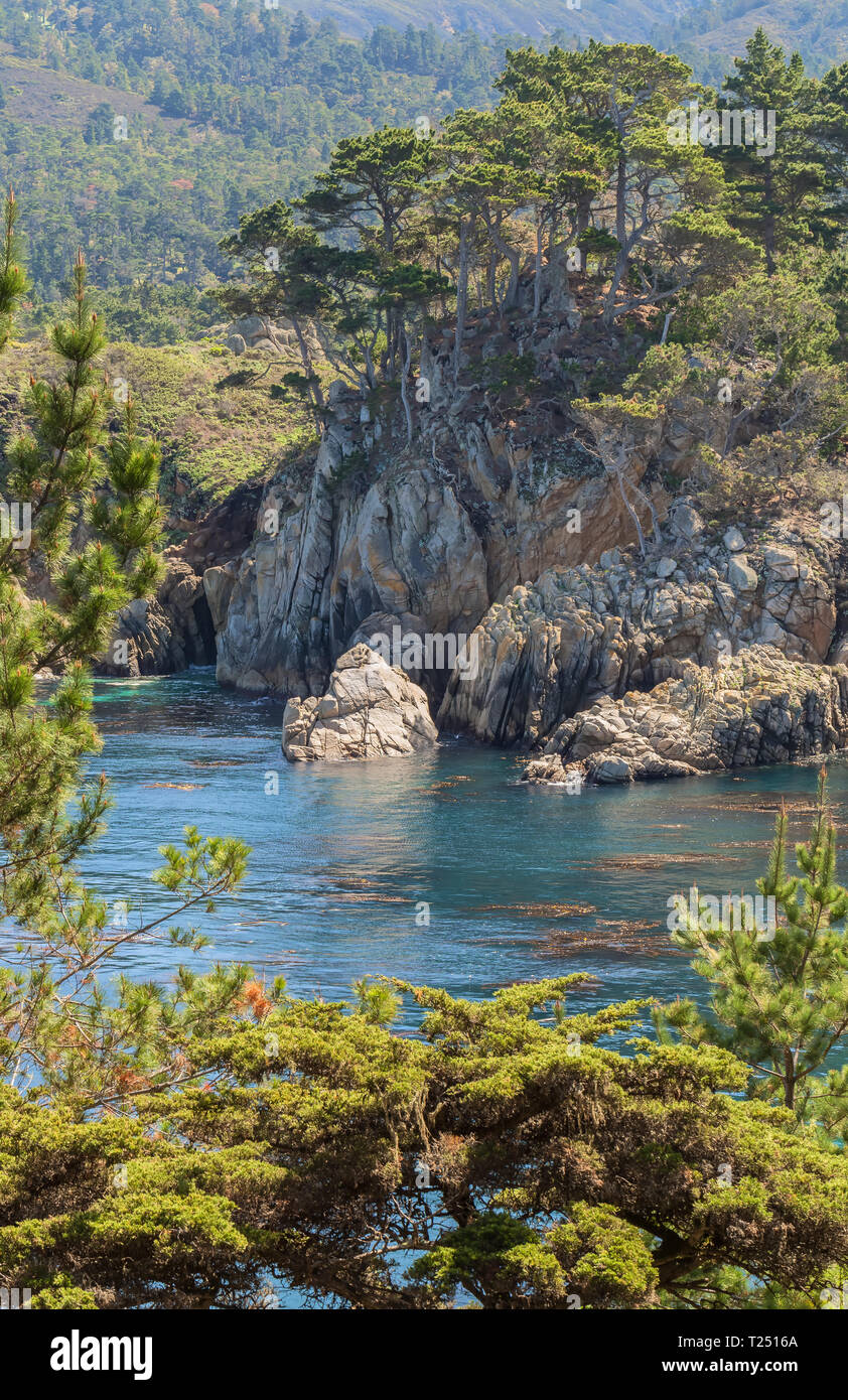 Cypress Cove at Point Lobos State Natural Reserve, California, United States. Stock Photo