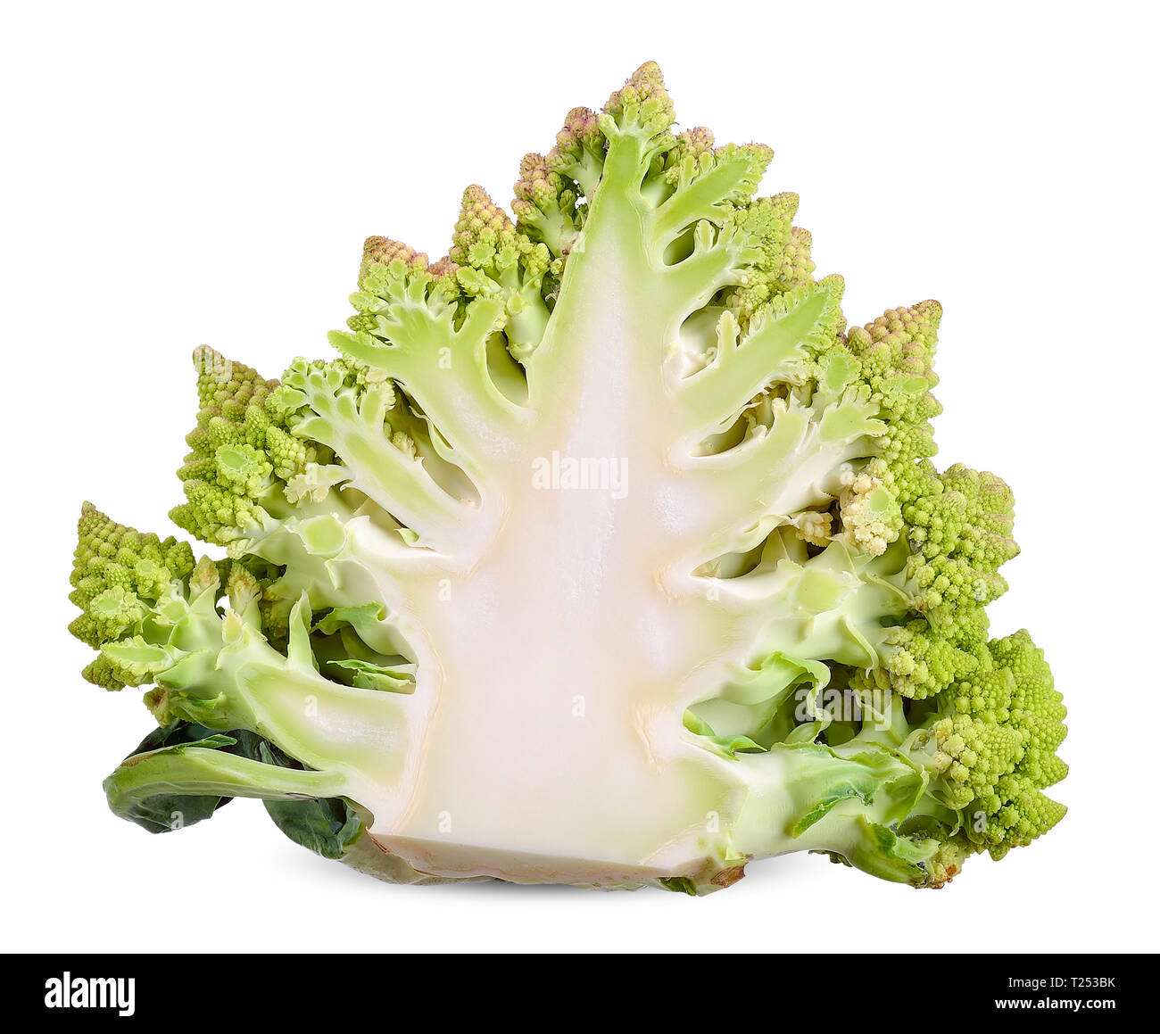 romanesco isolated on white with clipping path Stock Photo