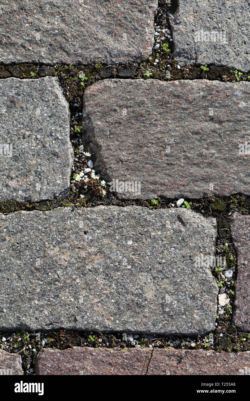 Outdoor flooring stone hi-res stock photography and images - Alamy