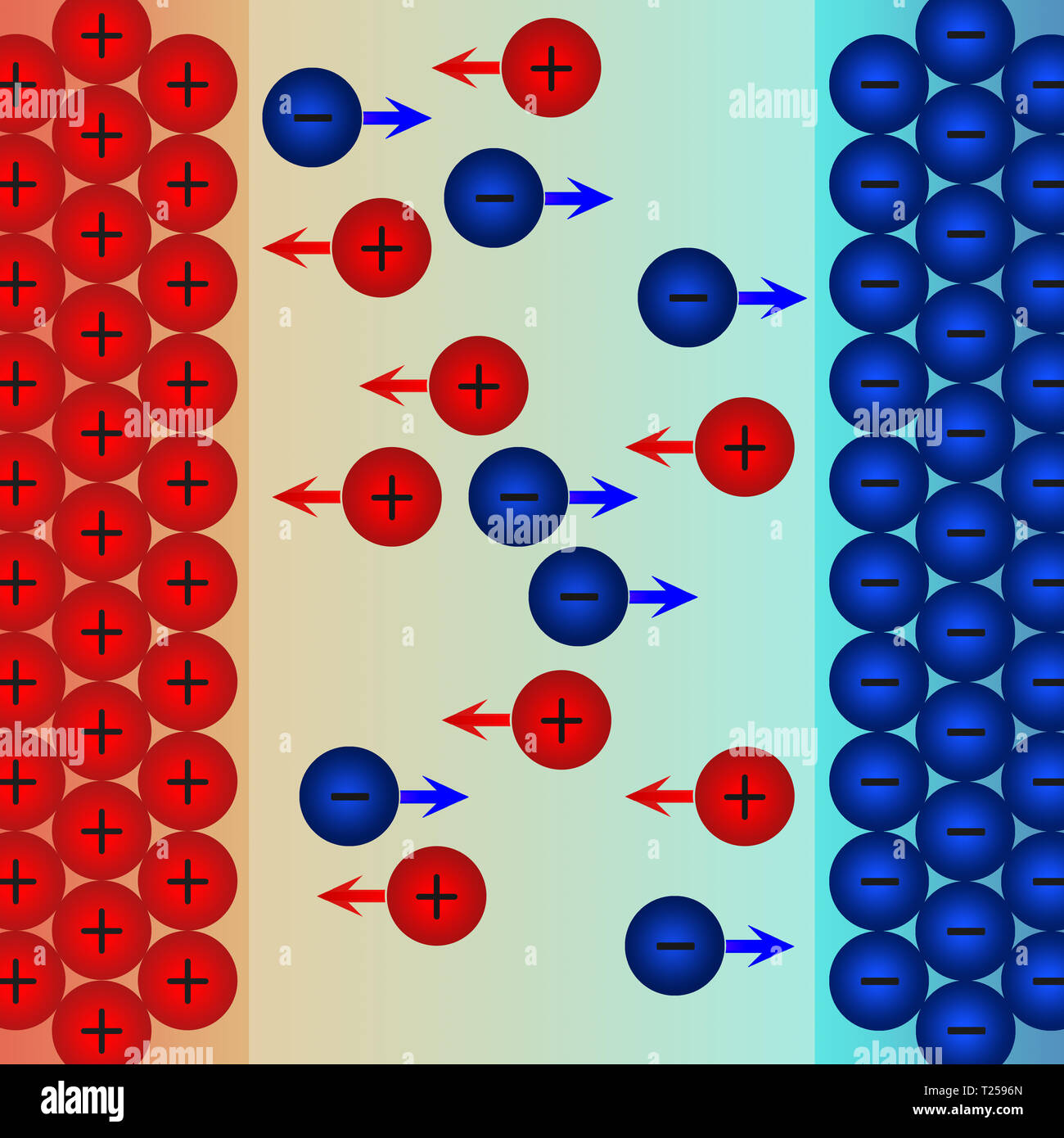 Ions movement to negative electrode and positive electrode. 3D