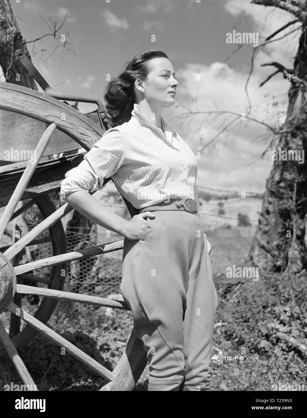 The Shiralee (1957) Rosemary Harris, Date 1957 Stock Photo Alamy
