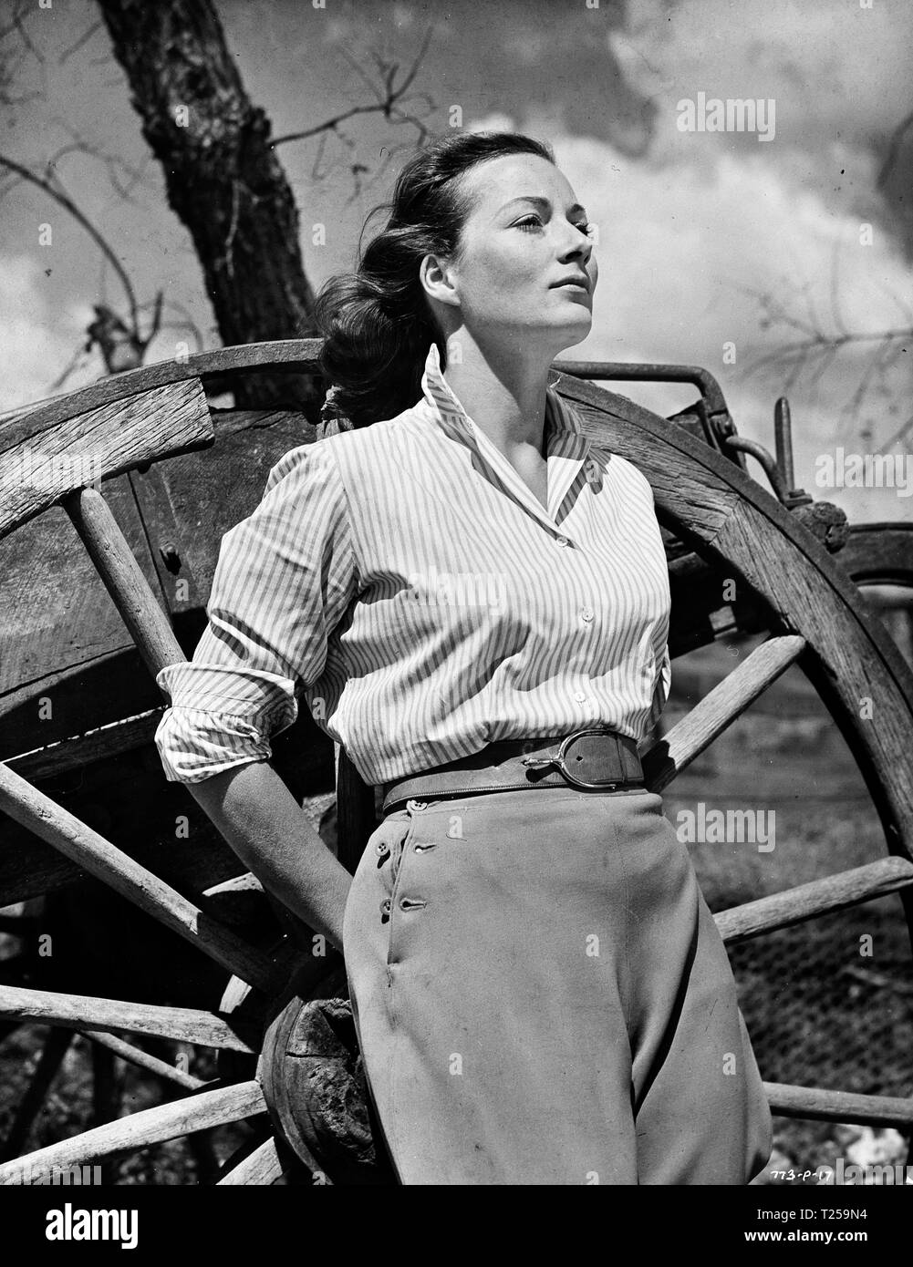 Rosemary harris hires stock photography and images Alamy