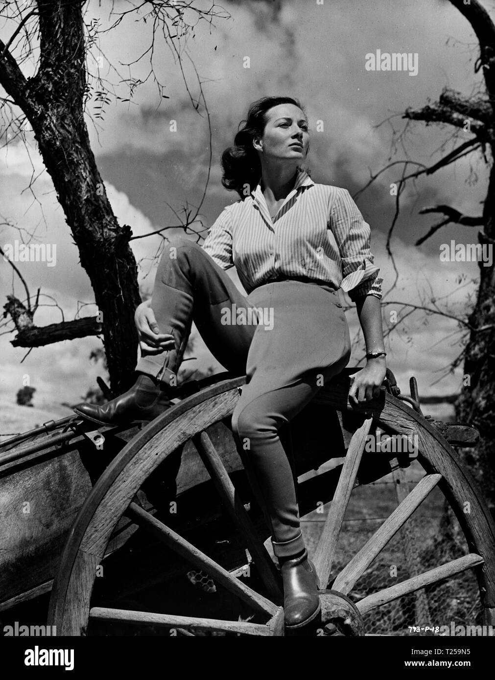 The Shiralee (1957) Rosemary Harris, Date 1957 Stock Photo Alamy
