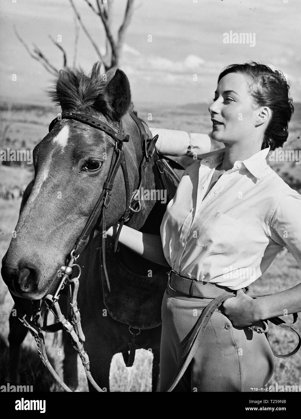 The Shiralee (1957) Rosemary Harris, Date 1957 Stock Photo Alamy