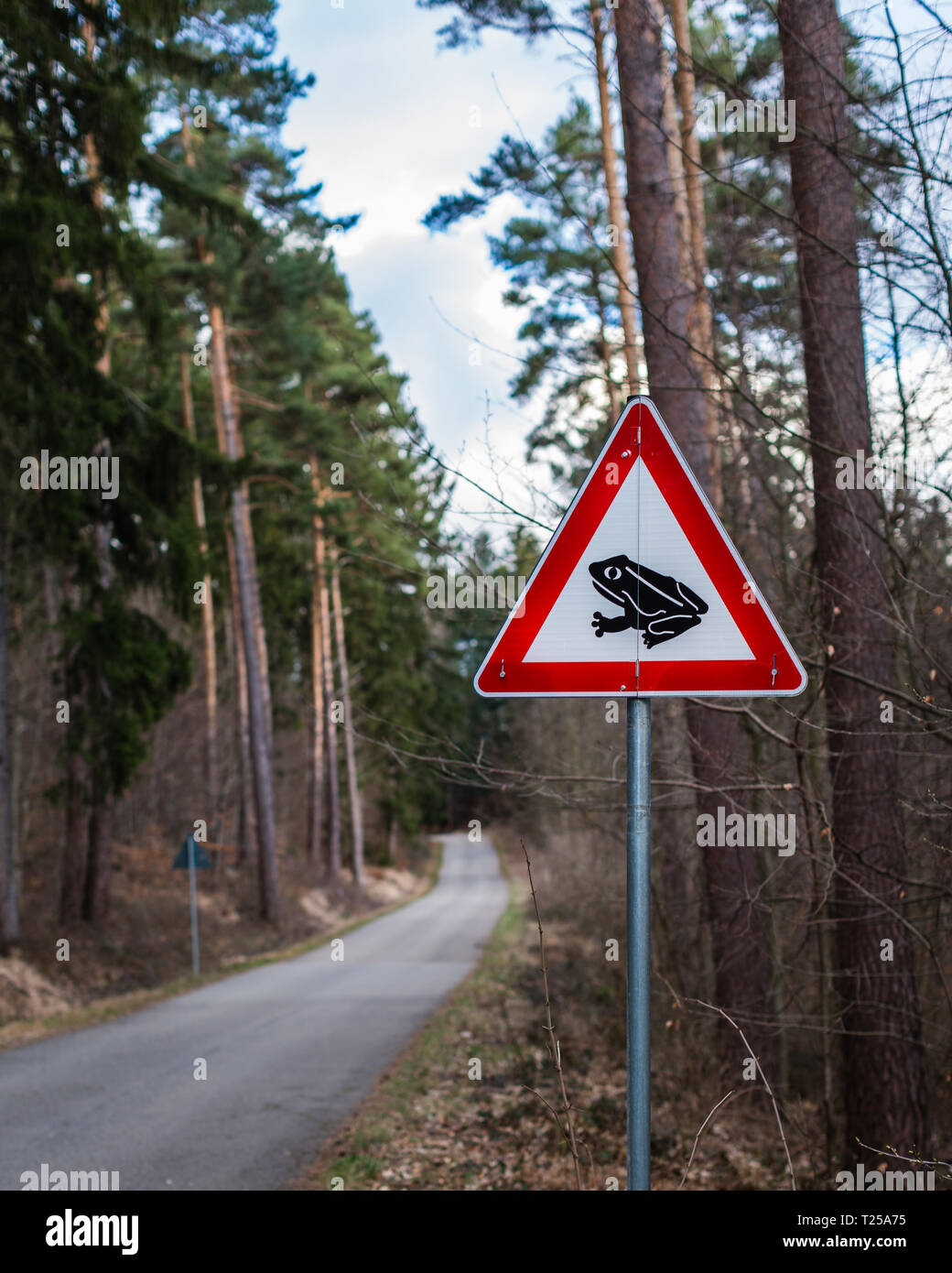 A sign in the forest to protect frogs Stock Photo