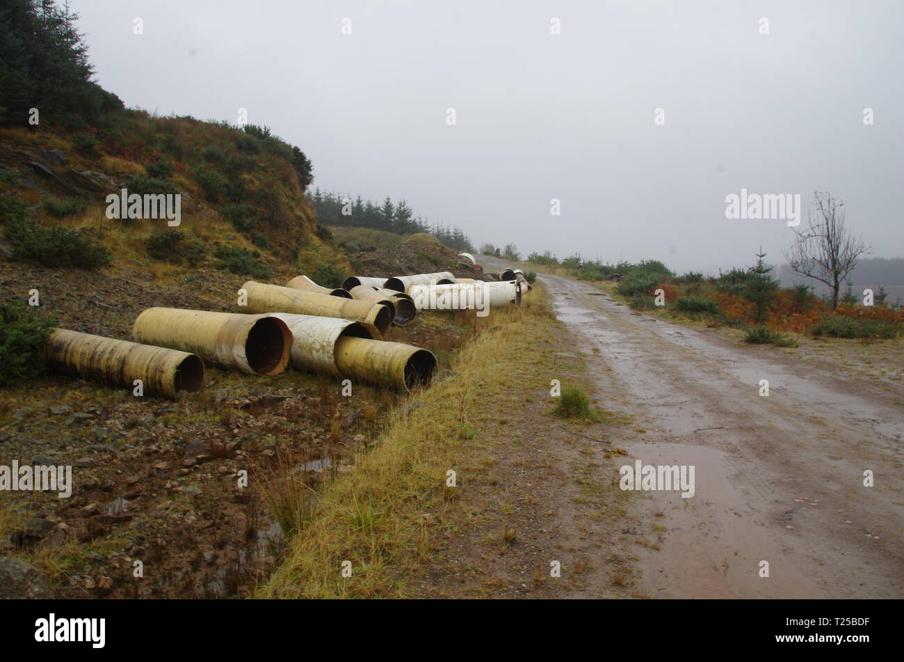 abandoned pipes. The Loch Lomond and Cowal Way. Cowal peninsula
