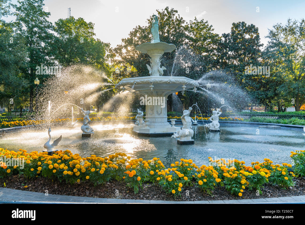 Fountain in Forsyth Park in Savannah, Stock Photo Alamy