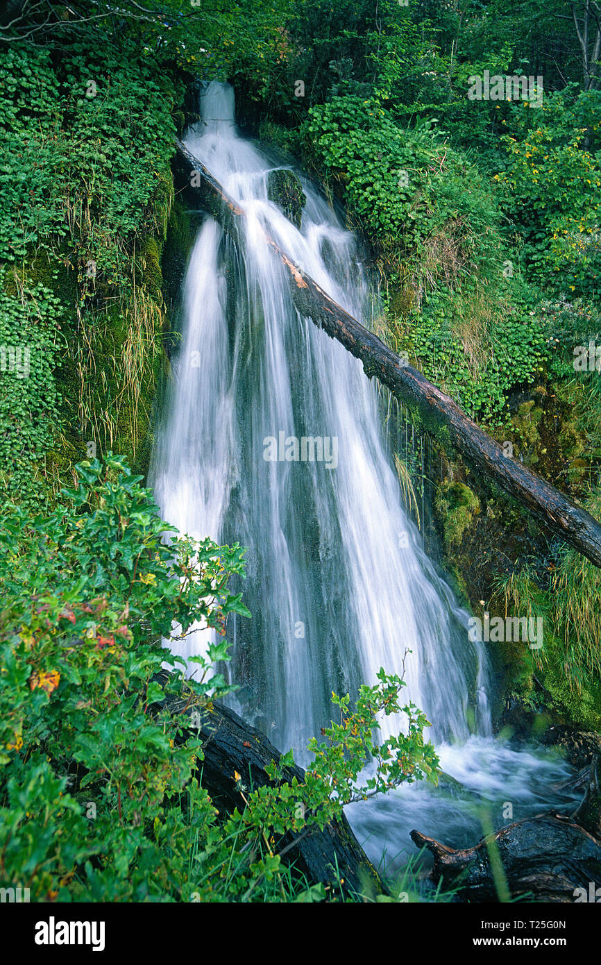 Macarena waterfall at Tierra del Fuego National Park, Tierra del Fuego, Argentina Stock Photo
