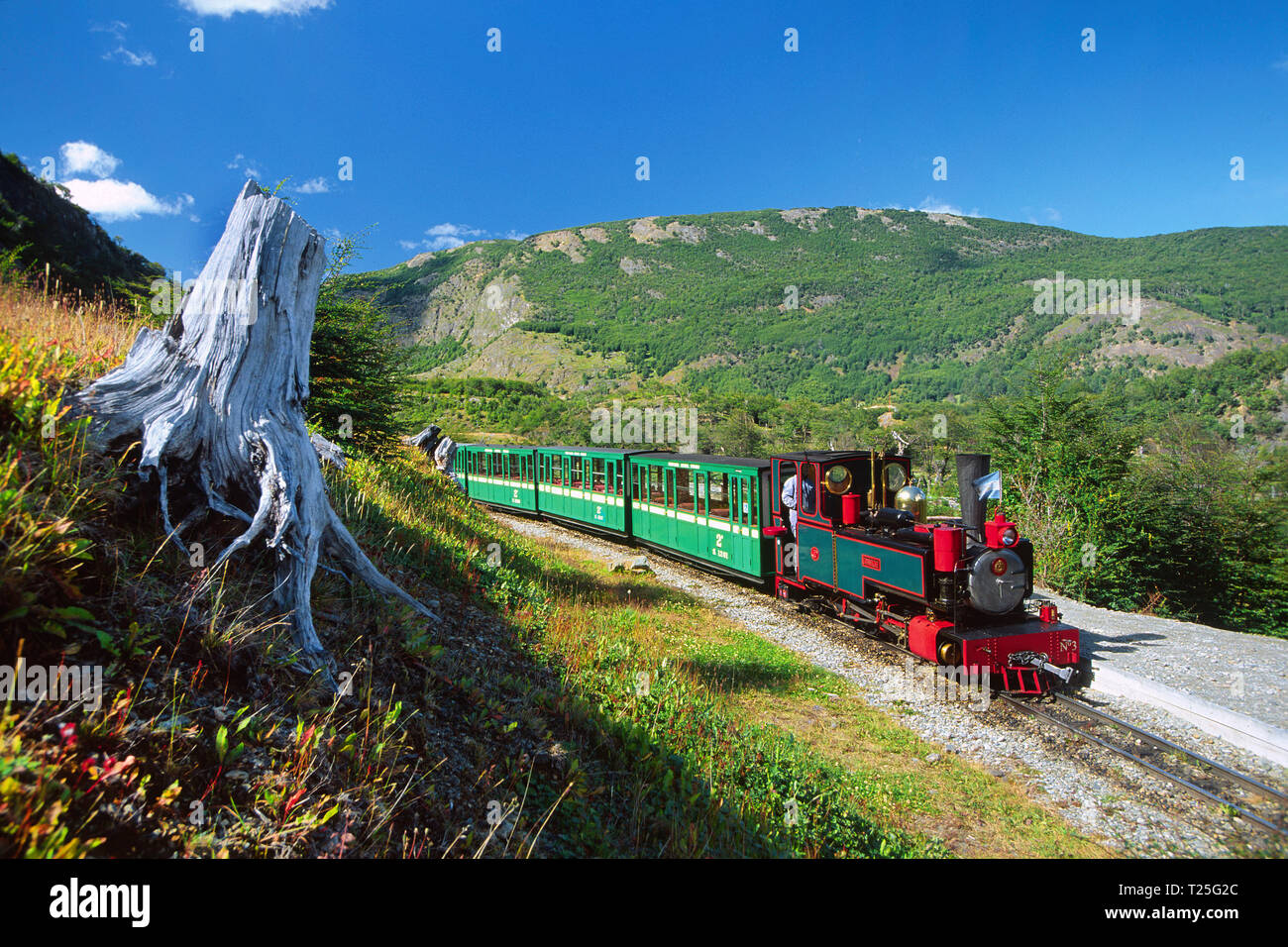 Steam train FCAF (Ferrocarril Austral Fueguino) at National park Tierra del Fuego, Argentina Stock Photo