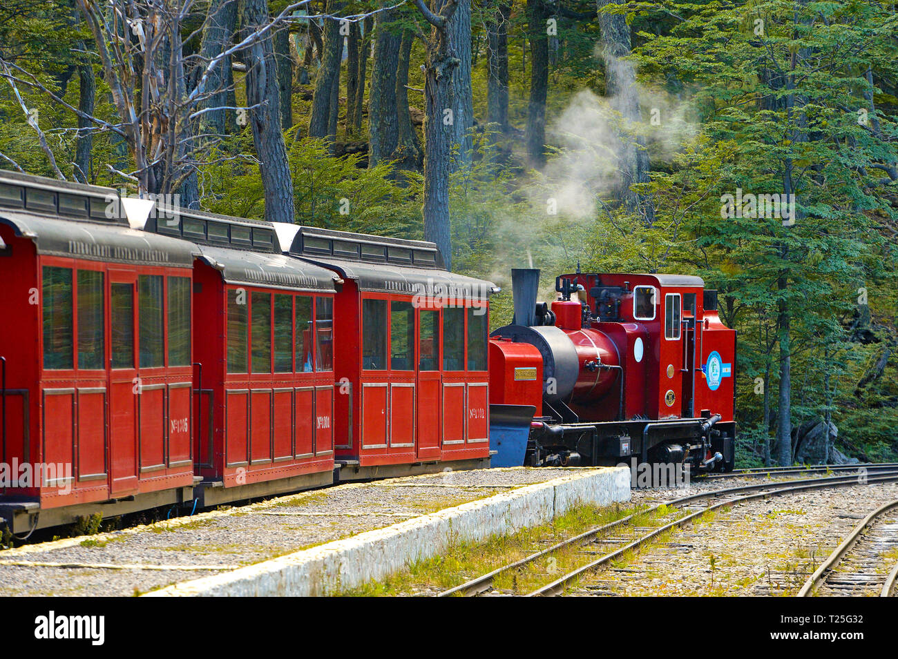 Steam train FCAF (Ferrocarril Austral Fueguino) at National park Tierra del Fuego, Argentina Stock Photo