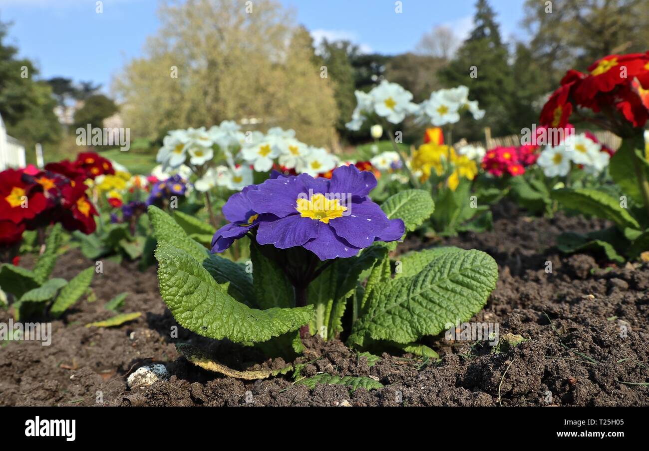 Richmond Upon Thames Surrey 2019 Stock Photo