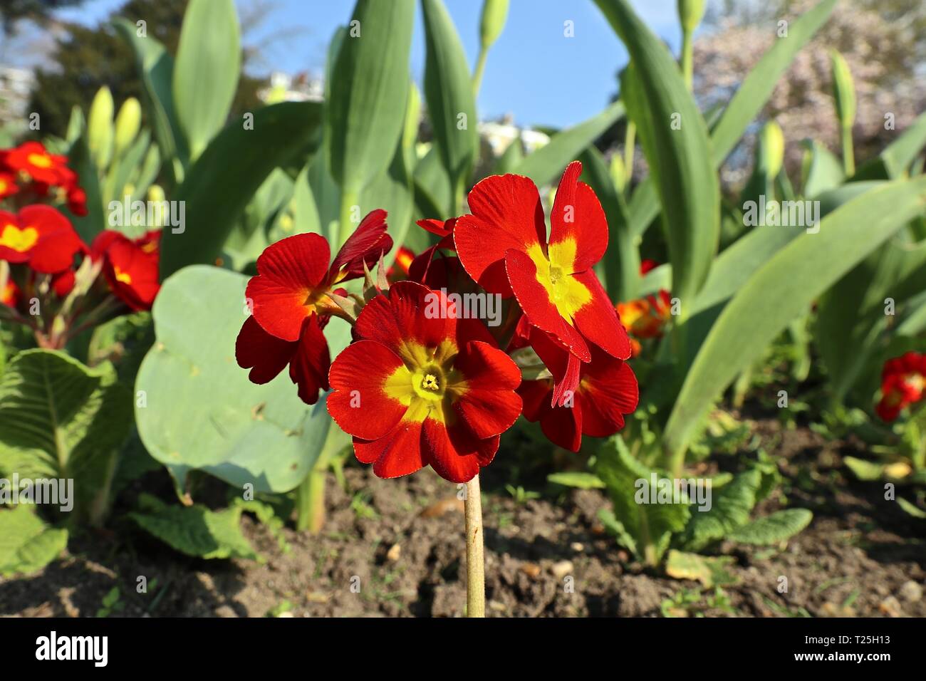 Richmond Upon Thames Surrey 2019 Stock Photo
