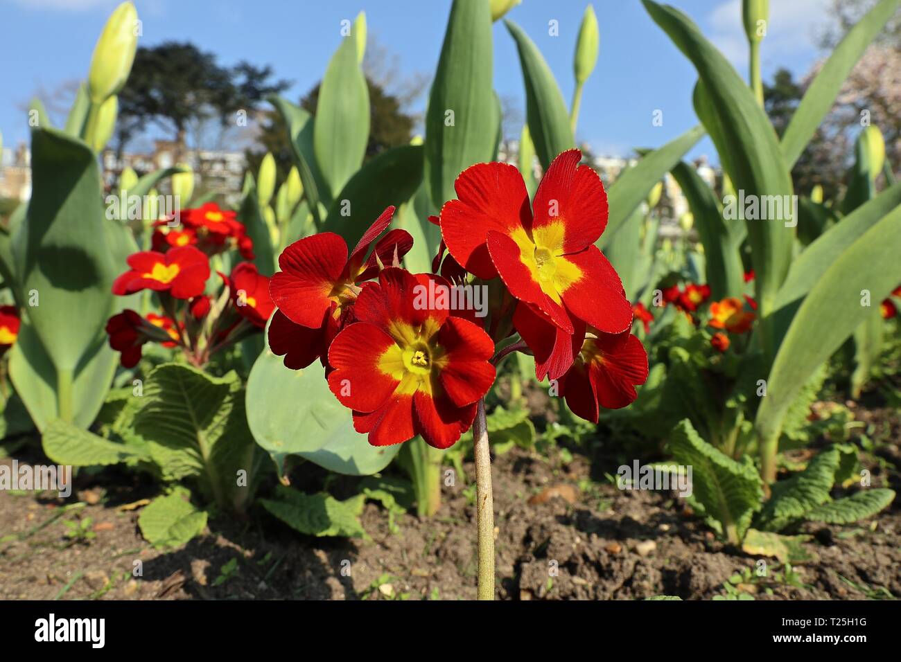 Richmond Upon Thames Surrey 2019 Stock Photo