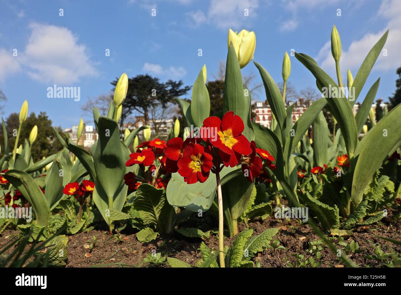 Richmond Upon Thames Surrey 2019 Stock Photo